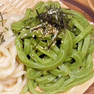 夏にぴったり！抹茶の手打ちうどん